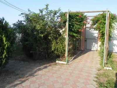 Фанни Вероника - 4