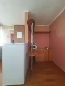 Туя - 39