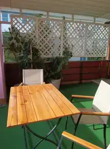 Туя - 41
