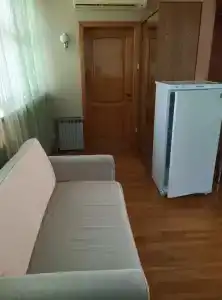 Туя - 43