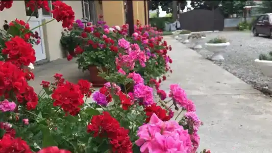 Черное море - 4