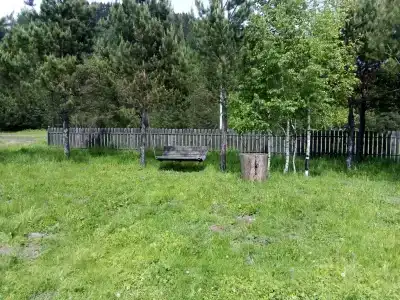 Сосновый Бор - 4