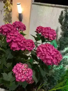 Ева-Виктория - 13