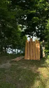 1000 звёзд - 5