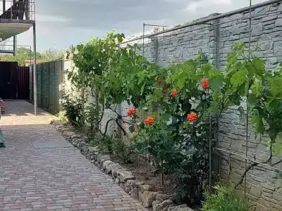 Виктория - 2