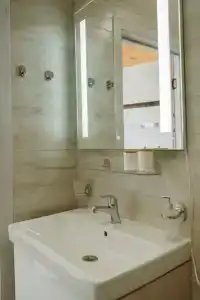 Еловый лис - 18