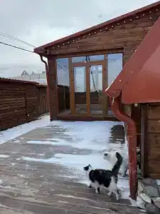 Старый Сивух - 93
