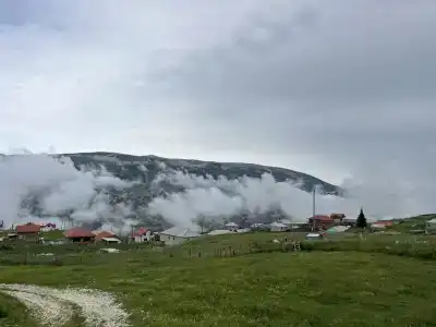 Старый Сивух - 90