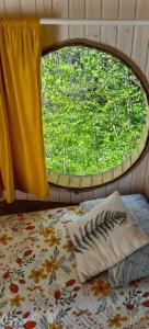 Дом на дереве - 15