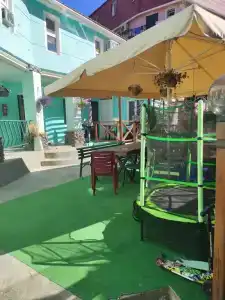 Крымская Ромашка - 2