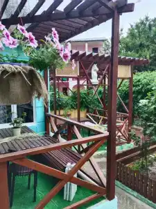 Крымская Ромашка - 10
