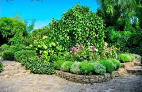 Казантипс - 14