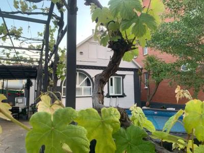 Rafaella - 166