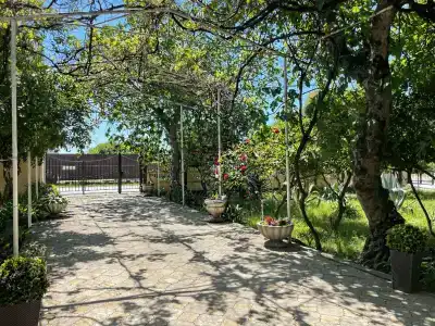 Аскар - 19