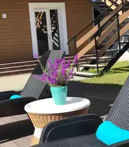 Наша Дача - 9