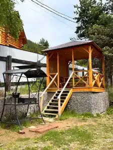 Forest trail на Байкале - 2