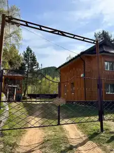 Forest trail на Байкале - 1