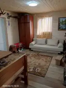 Анютины глазки - 9