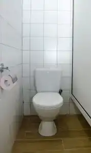 Хоста - 1