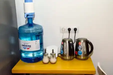 Хоста - 9