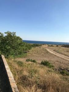 Афалина - 12