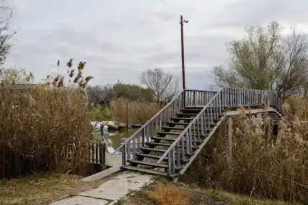 Ковчег - 18