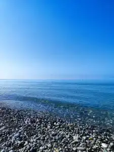 Томило на Приморской улице - 14