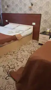 Старый кот - 40
