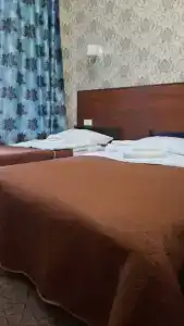 Старый кот - 45