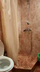 Старый кот - 46
