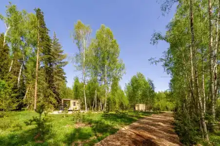 След Лося - 7