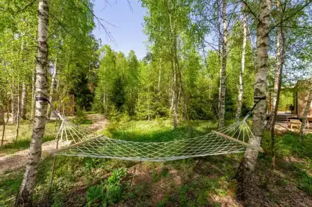 След Лося - 8