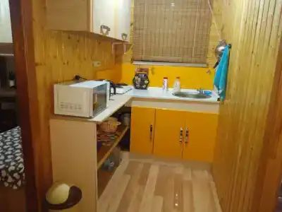 Дачный домик у реки - 7