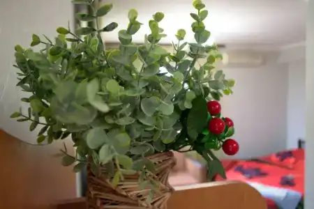Светоч - 132