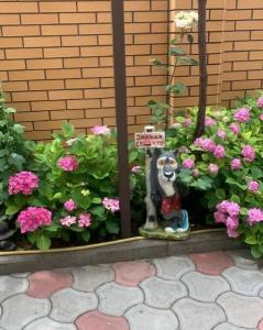 Натела - 15
