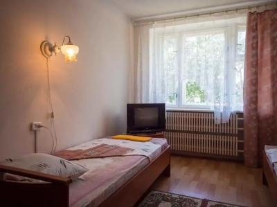 Роза Ветров - 40