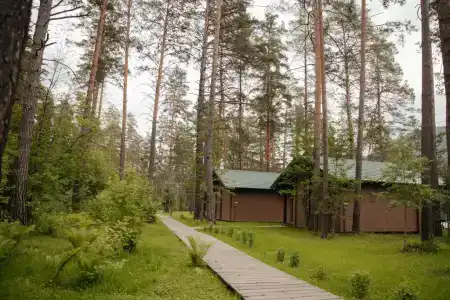 Любава - 17