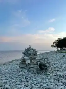 Большая Черепаха - 35
