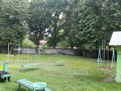 Янтарь - 4