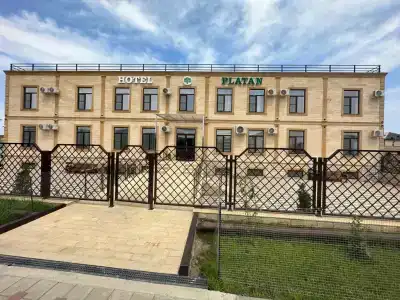 Платан - 2