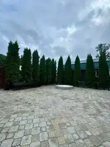 Усадьба Пришвин - 2