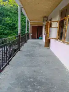 Светлана - 20