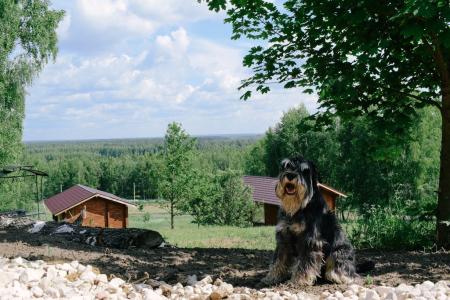 Петрушкина горка - 15