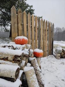 Петрушкина горка - 21