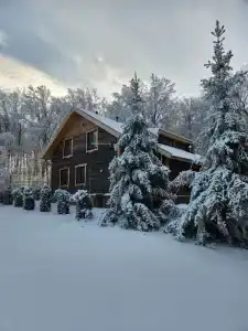 Odin House - 12