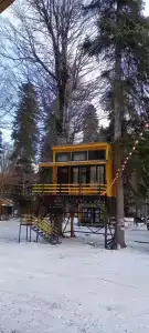 АриБор - 40