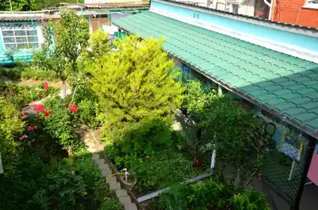 У Борисовны - 5