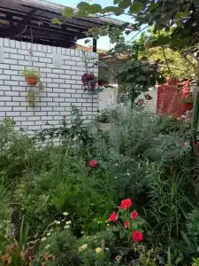 Татьяна - 20