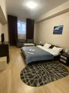 Mini-Silver - 77
