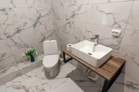 Кипарис - 2